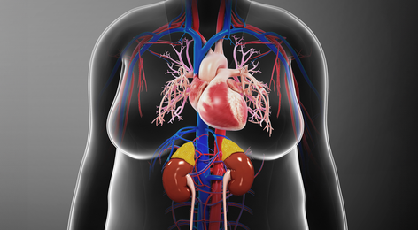 Heart Failure - PACE-CME