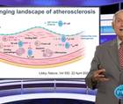 Novel modulators of inflammation in atherosclerosis