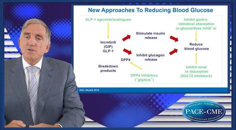Image showcasing Outcomes of GLP-1 RA in Diabetes & CVD: What are the key opportunities ...