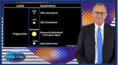 How can triglycerides increase CV risk
