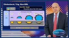The spectrum of triglyceridecontaining lipoproteins
