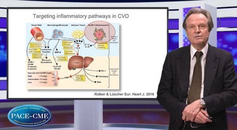 Inflammation: The next therapeutic frontier in targeting cardiovascular ...
