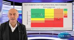 Kidney protection and SGLTi What do we know