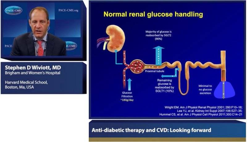 Diabetes therapies and CVD Does the how matter more than the how much