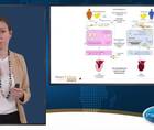 Distinct pathophysiological pathways in women and men with heart failure