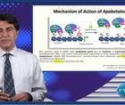 A clinical view on BET inhibition in CKD  CVD Understanding recent data and future perspectives