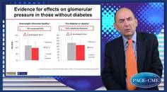 Remaining questions on SGLT inhibition  CKD A review of new outcome trials