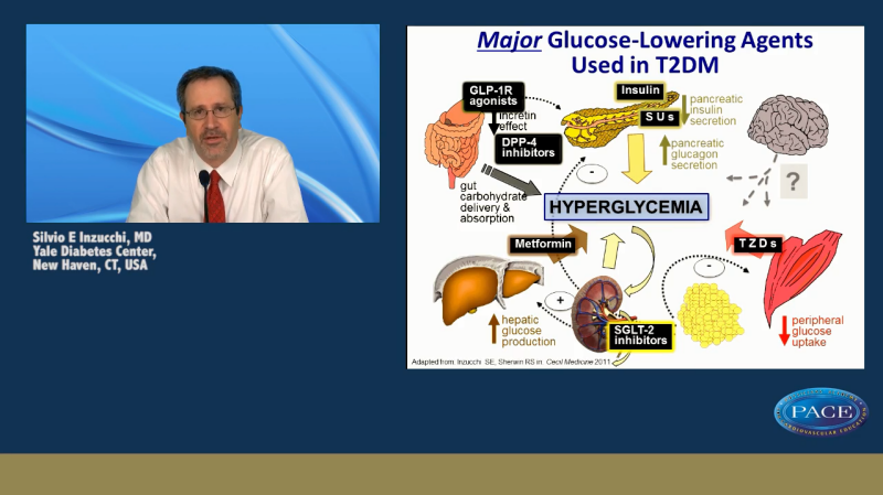 Sglt2 Inhibition In The Management Of Type 2 Diabetes Potential Impact On Cvd Risk Pace Cme